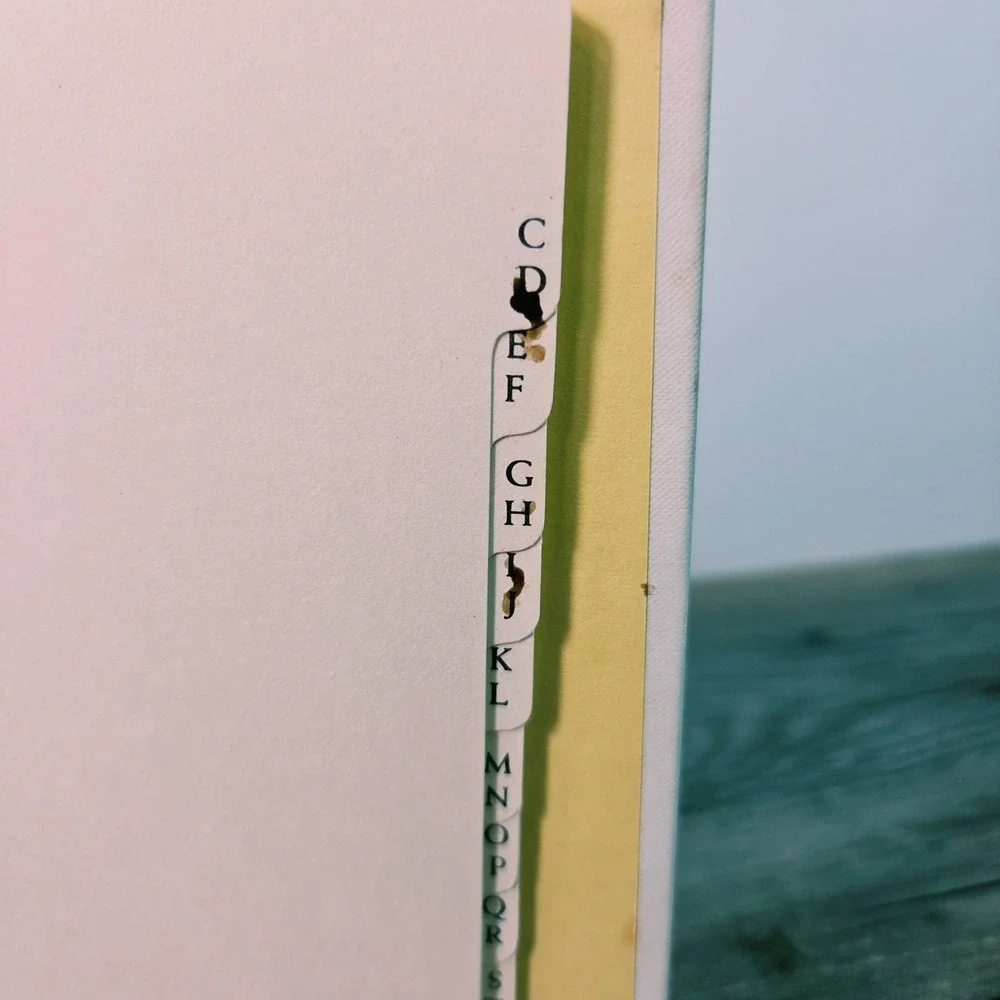Vintage 1973 Hallmark Betsey Clark Address Book 6-Ring Binder Unused 70s Floral